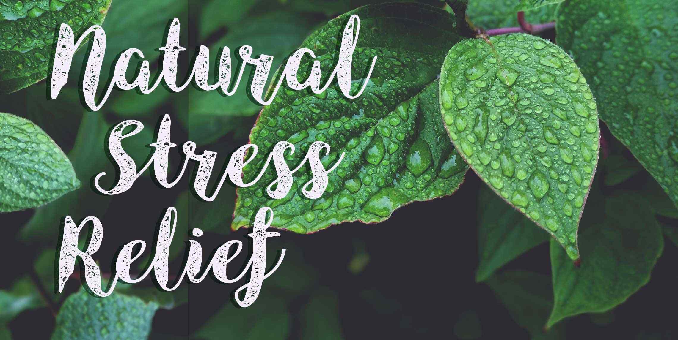 natural-stress-relief-mama-jean-s-natural-market